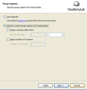 cbwizard4.png